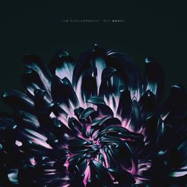 Our Bones - 2019 • Sencillo/EP