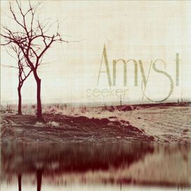 Seeker - Amyst