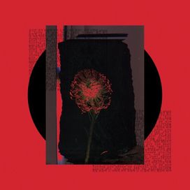 Dimples - 2021 • Sencillo/EP