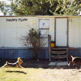 Donkey Flats - 2025 • Sencillo/EP