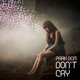 Don't Cry - 2011 • Single/EP