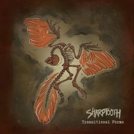 Transitional Forms - 2020 • Álbum