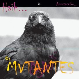 Haih Or Amortecedor... - 2009 • Álbum