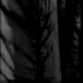 with black branches.. scars and wounds, the painful memories... - 2016 • Single/EP