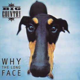 Why The Long Face - 1995 • Álbum