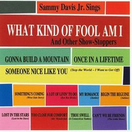 Sings What Kind Of Fool Am I And Other Show-stoppers - 1962 • Álbum