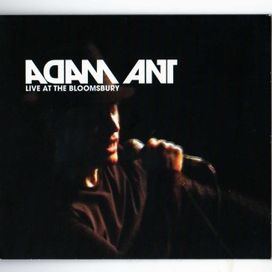 Live At The Bloomsbury - 2008 • Álbum