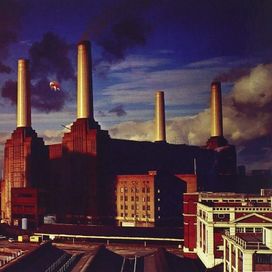 Animals - 1977 • Álbum