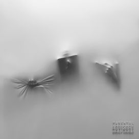 COCOON - 2026 • Álbum