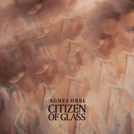 Citizen Of Glass - 2016 • Álbum