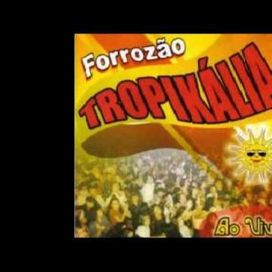 Vol. 4 - 2001 • Álbum