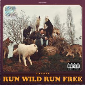 Run Wild Run Free - Zacari