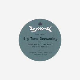 Big Time Sensuality (Special Double 12") - 1993 • Sencillo/EP