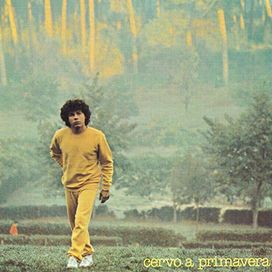 Cervo a Primavera - 1980 • Álbum