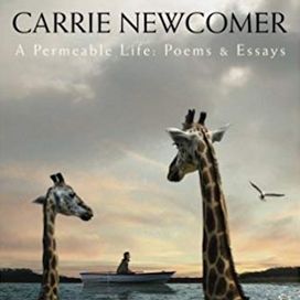 A Permeable Life - 2014 • Álbum