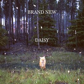 Daisy - 2009 • Álbum