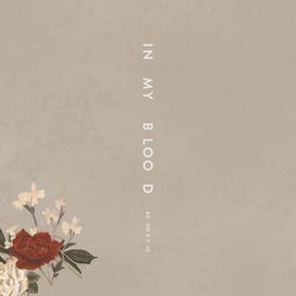 In My Blood (Acoustic) - 2018 • Single/EP