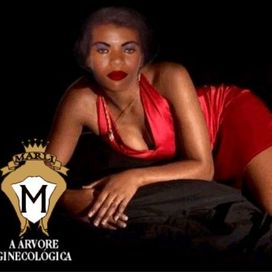 A Árvore Ginecológica - 2004 • Coletânea