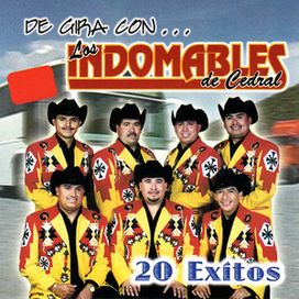 20 Exitos - 2008 • Recopilación