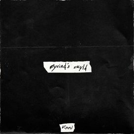 øyvind's skyld  - Vinni