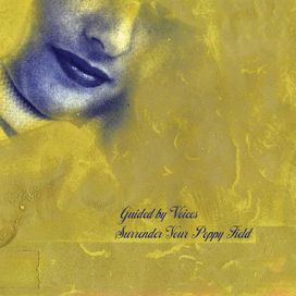 Surrender Your Poppy Field - 2020 • Álbum