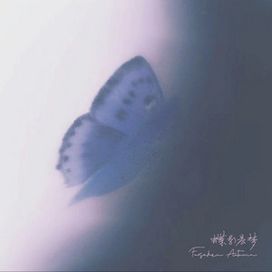 蝶影晨梦 (Butterfly Morning Dream) - 2023 • Single/EP