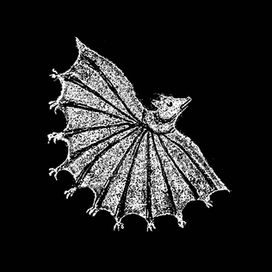 Ignore Grief - 2023 • Álbum