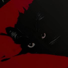 bleed - amotti