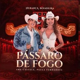 Pássaro de Fogo (part. Paula Fernandes) - 2024 • Single/EP