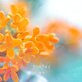 Kinmokusei - 2021 • Single/EP