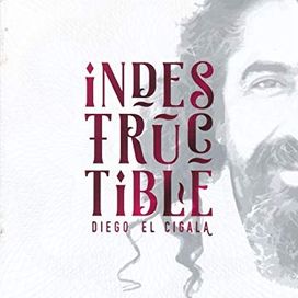Indestructble - 2016 • Álbum