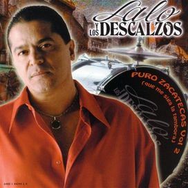 Puro Zacatecas vol 2 - 2005 • Álbum