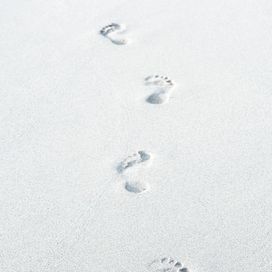 Barefoot Lighty Print: It's About Time - Jack North