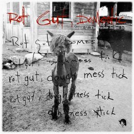Rot Gut, Domestic - 2012 • Álbum