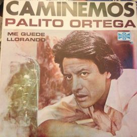 Caminemos - 1979 • Álbum