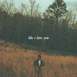 like i love you - Ryley Tate Wilson