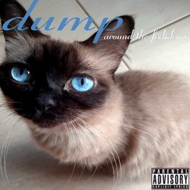 Around The Fodidows  - 2008 • Álbum