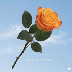 SOLaridade - 2026 • Álbum