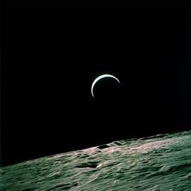 Luna - ESTRELLA SEMIVIVA