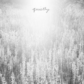 Quietly - 2008 • Álbum