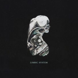 Limbic System - Zealyn