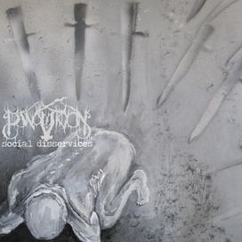 Social Disservices - 2011 • Álbum