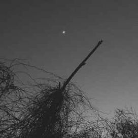 Hollow Beings (2012-2014) - 2014 • Sencillo/EP