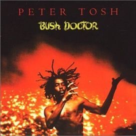 Bush Doctor - 2002 • Álbum
