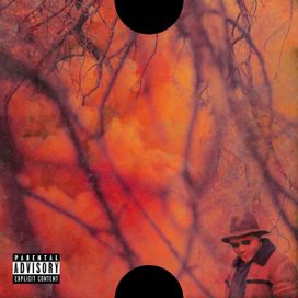 Blank Face LP - 2016 • Álbum