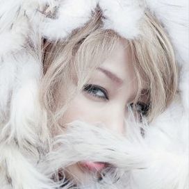 Yuki no Hana 15 Shuunen Kinen Best-ban Bible - 2019 • Álbum