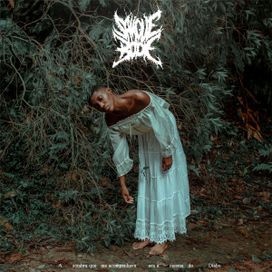 A Sombra Que Me Acompanhava Era a Mesma do Diabo - 2020 • Álbum