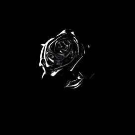 Shoot For The Stars Aim For The Moon - 2020 • Álbum