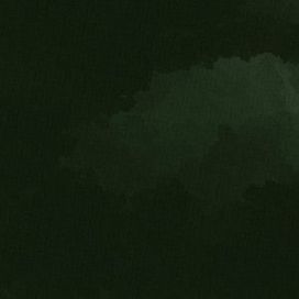 a plant managed to startle me somehow - 2022 • Single/EP