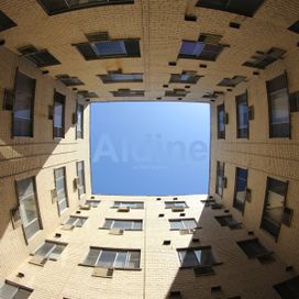 Aldine - 2014 • Álbum